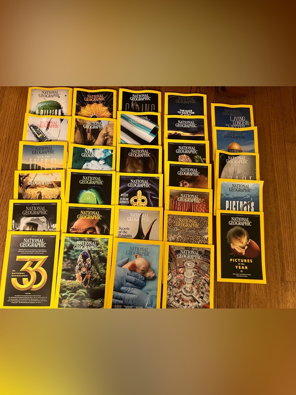 Batch of 30 National Geographic Magazines 
Collectible Back Issues